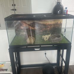 Snake Tank And Stand 
