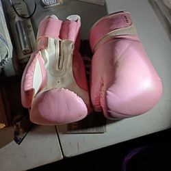 Girls Boxing Gloves 10.00