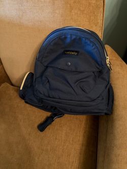 Tushbaby Hip Carrier