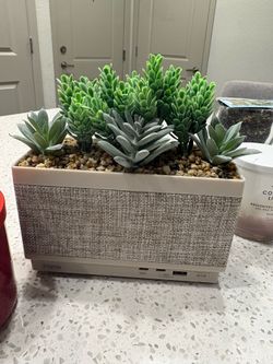 Home decoration/ Speaker