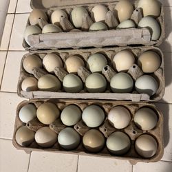 4 A Dozen Farm Fresh