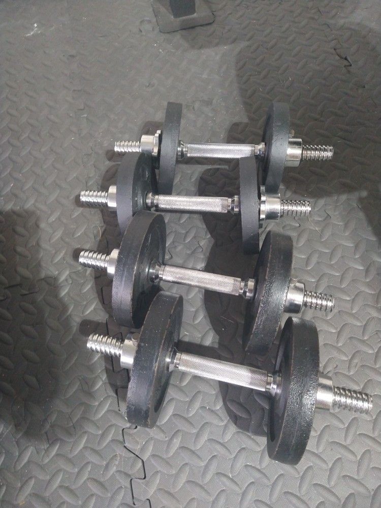 Weights 154 Pounds And Reebok Bench