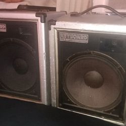 Roland Amps