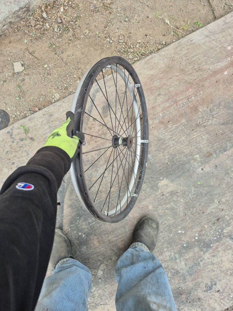 Bike Rim