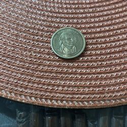 2007 Presidential $1 Coin John Adams P Date 1(contact info removed)