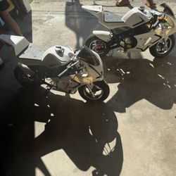 2 Frp 40cc Mini Bikes 