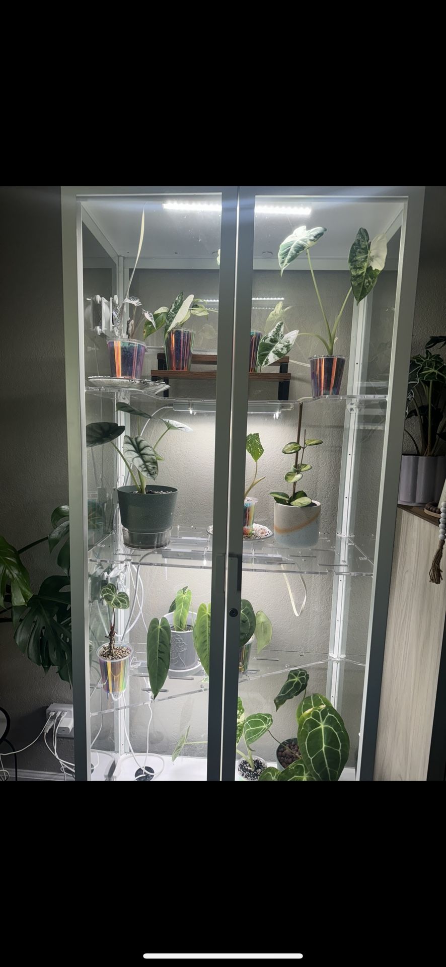 IKEA Milsbo Greenhouse Cabinet – Plant Setup w/ Lights & Accessories