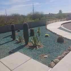 Yard Maintenance -Tucson & Surrounding Areas