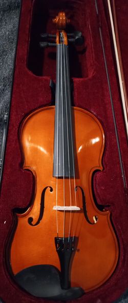 Viola 