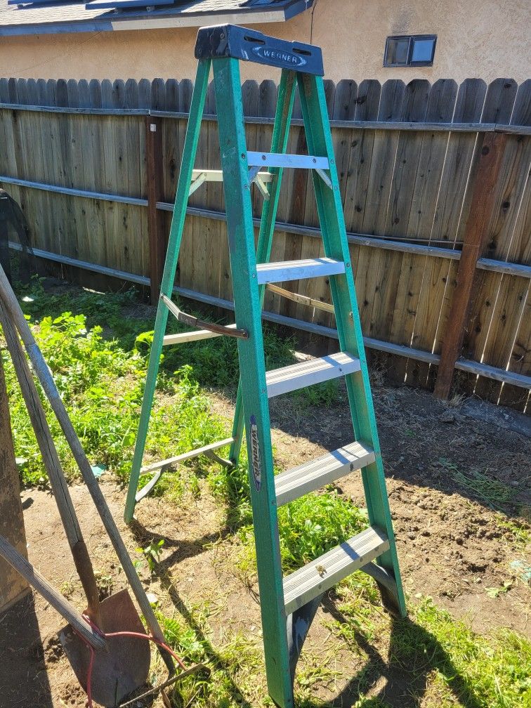 Werner Ladder $40