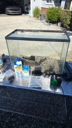 10 gallon fish tank used