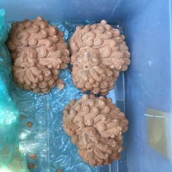 Terra Cotta Yard & Craft Pieces 