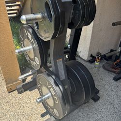 Commercial Grade 2” Weights Storage Tree HOLDS LOTS OF WEIGHT ( Weights Are Not Included )