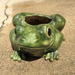 CERAMIC LARGE PLANT ER 🐸 FROG