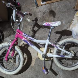 Giants Kids Girls Bike 