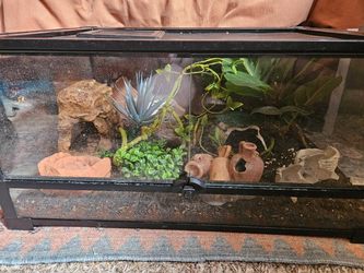 reptile enclosure
