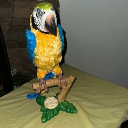 Squeaker Ream McCoy Talking perrot