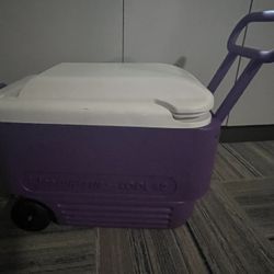 Igloo Wheel Cooler 42 Quart 