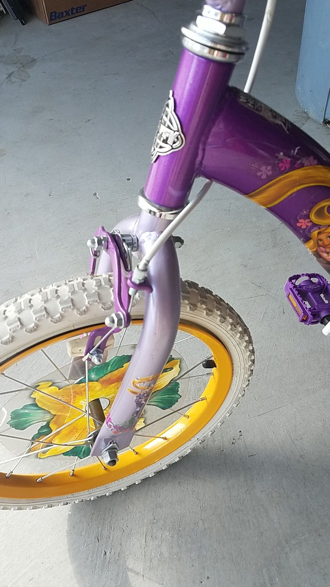 Rapunzel bicycle 2025