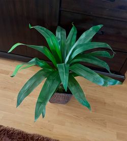 28” Tall Artificial Dracaena Plant features vibrant green, sword-shaped leaves in a square black pot
