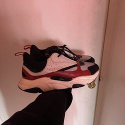 Dior B22