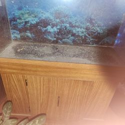Thirty gallon fish tank withstand