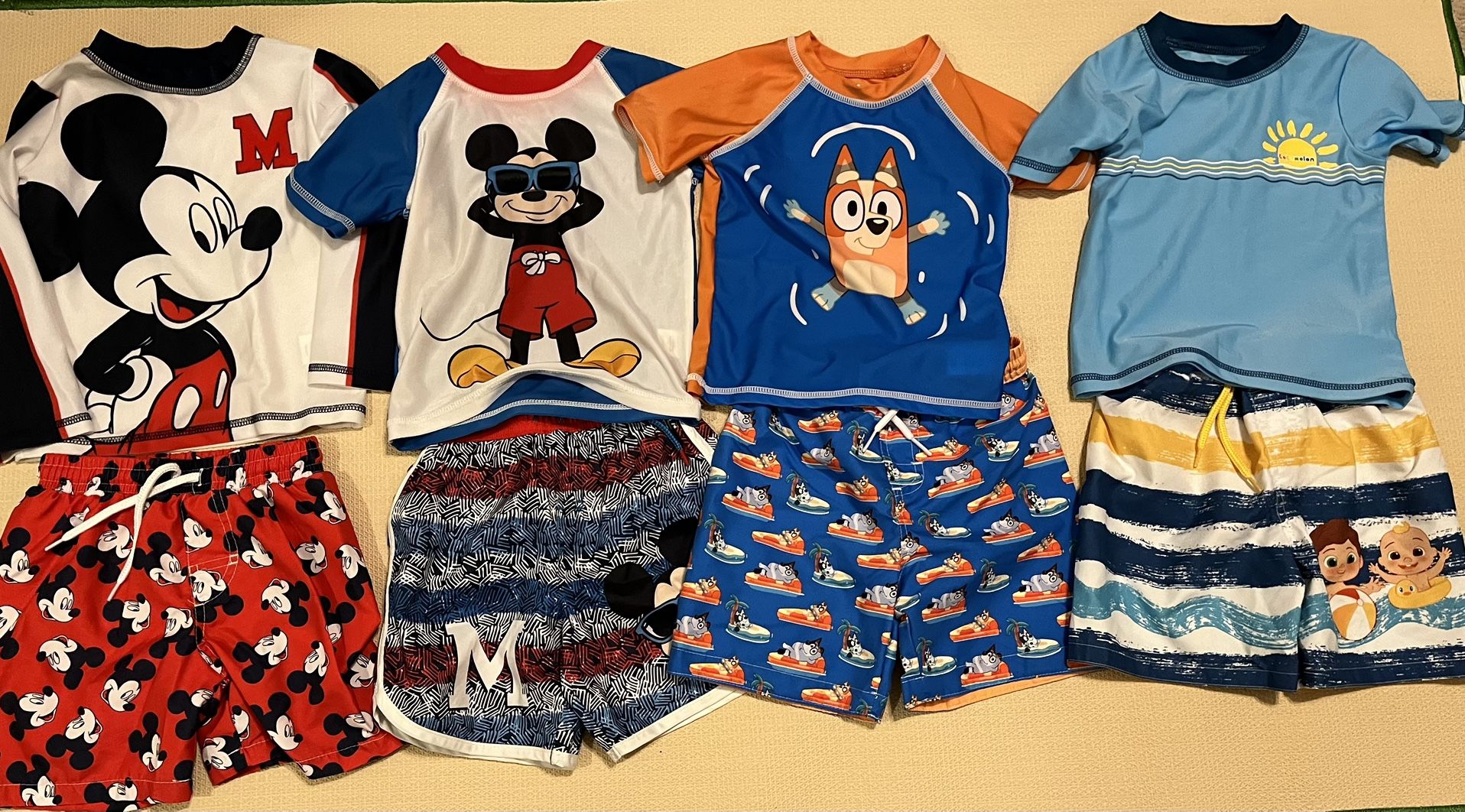 Swim trunks and Rash guards 2T