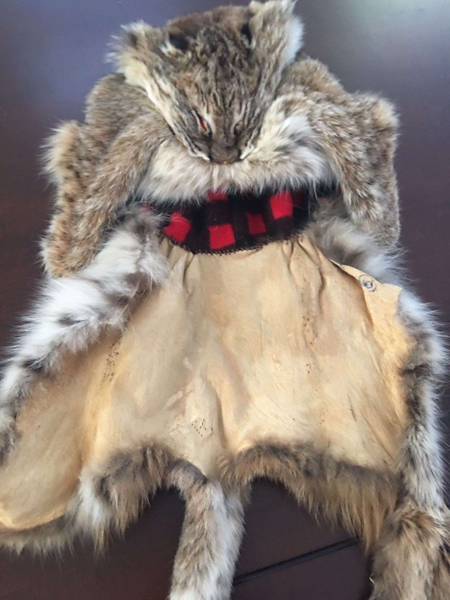 Bobcat Hat