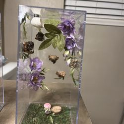 Jumping Spider Terrarium