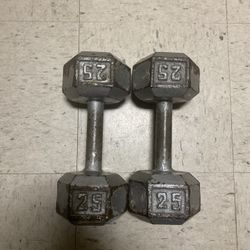 25lb Weights