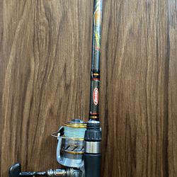 Daiwa Berkley Fishing Rod for Sale in San Leandro, CA - OfferUp