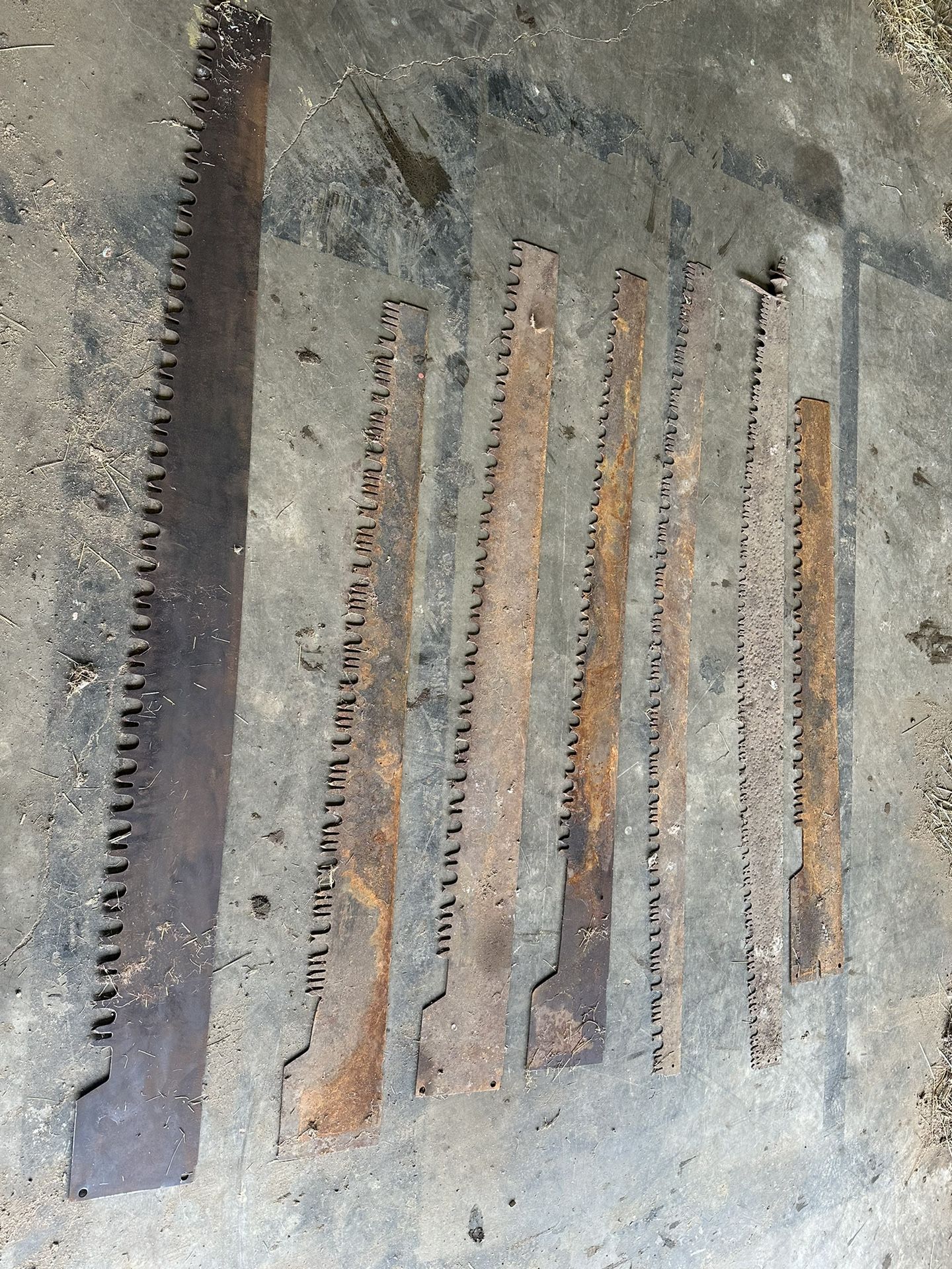 Old Saw Blades