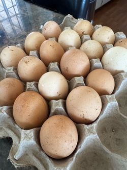 12 Organic Free-Range Ranch Eggs
