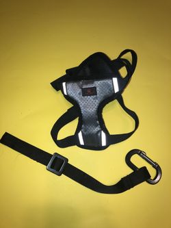 Harness