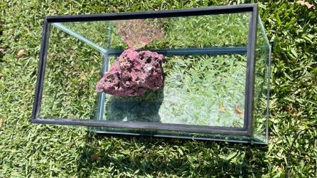 Fish/ turtle etc  tank  20” by 13” good condition