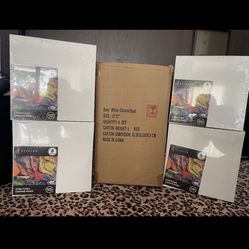 Brand New Packaged Art Canvas 