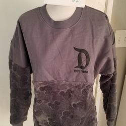 Disney Spirit jersey