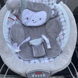 Baby Bouncer 
