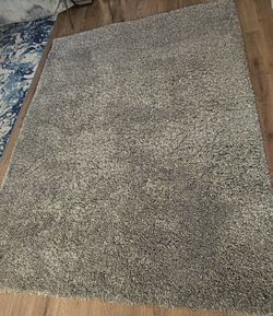 Clean 5x7 Thomasville Shag Rug