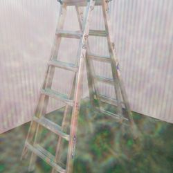 WERNER 18' FOLDABLE EXTENSION LADDER