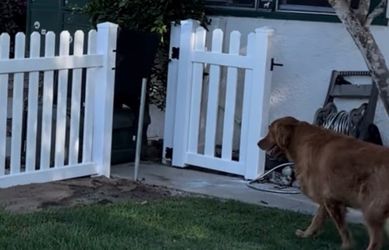 4’ x 8’ White Vinyl Picket Fence Panels | Premium PVC | In Stock