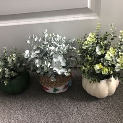 3 artificial plants, all for $15