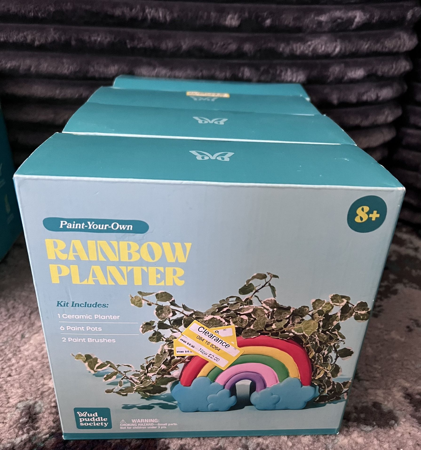 Rainbow Planter Kit 🌈 (4)