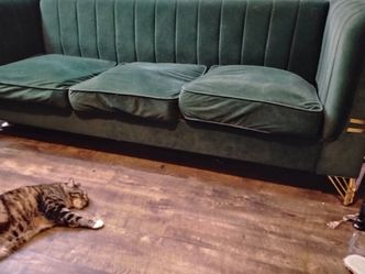 Green and gold couch