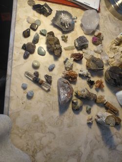 Crystal, and minerals from a beautiful Tourmaline Terminated quartz piece to geods, too polished petrified wood. Range from about 4 inch'' to half inc