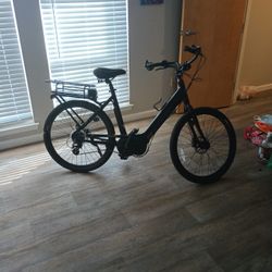 Raleigh Ebike