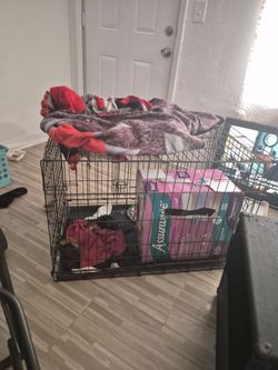 Dog kennel