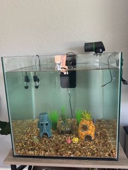 30-35 gallon fish tank
