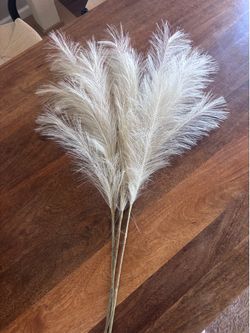Pampas decor set