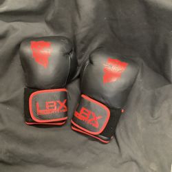 LBX Tactical Combative Sparring Gloves